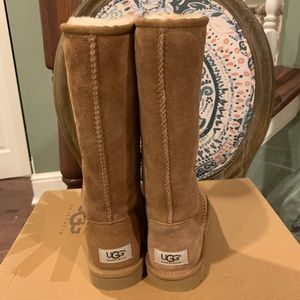 Tall Chestnut Uggs